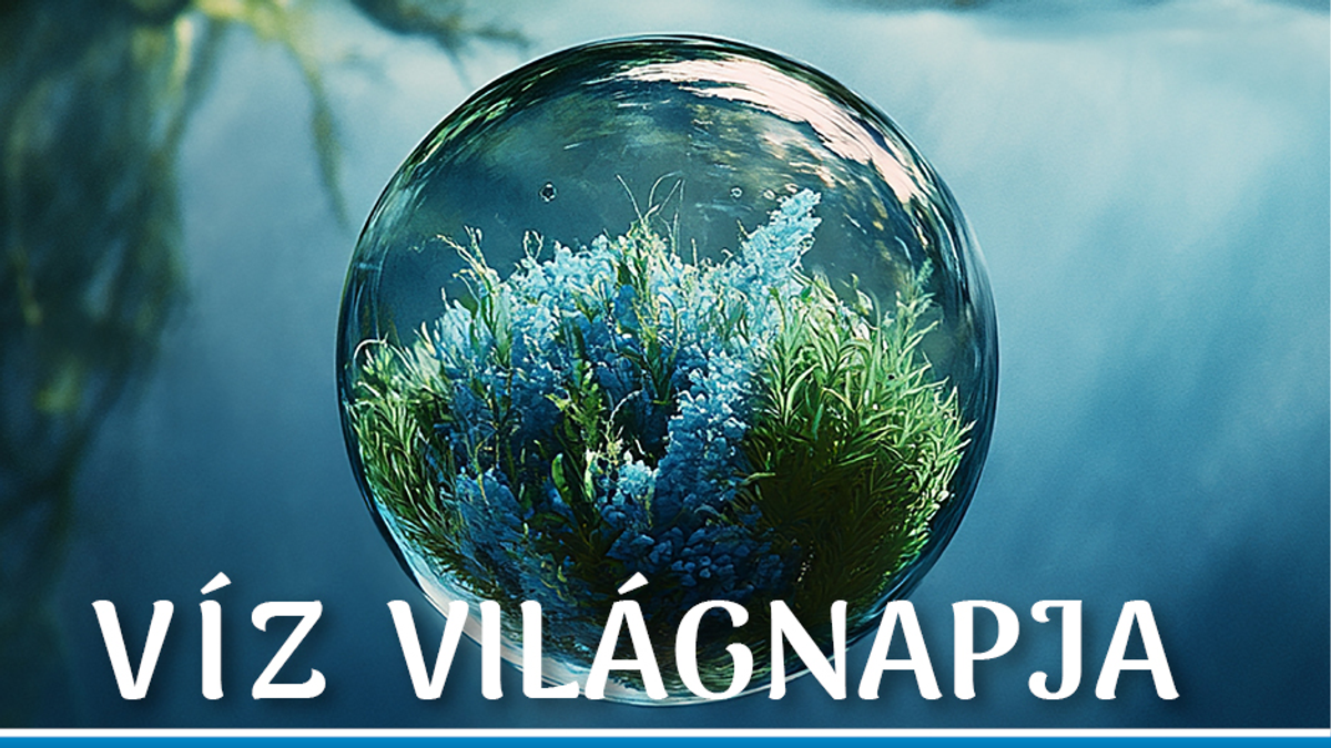 A víz világnapja a Bartók Béla Boulevard-on