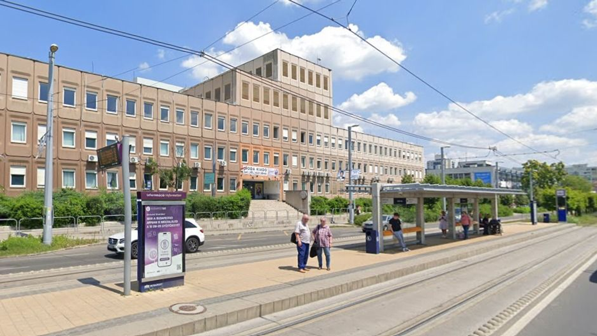 Étellel támadt az emberekre egy férfi Budán