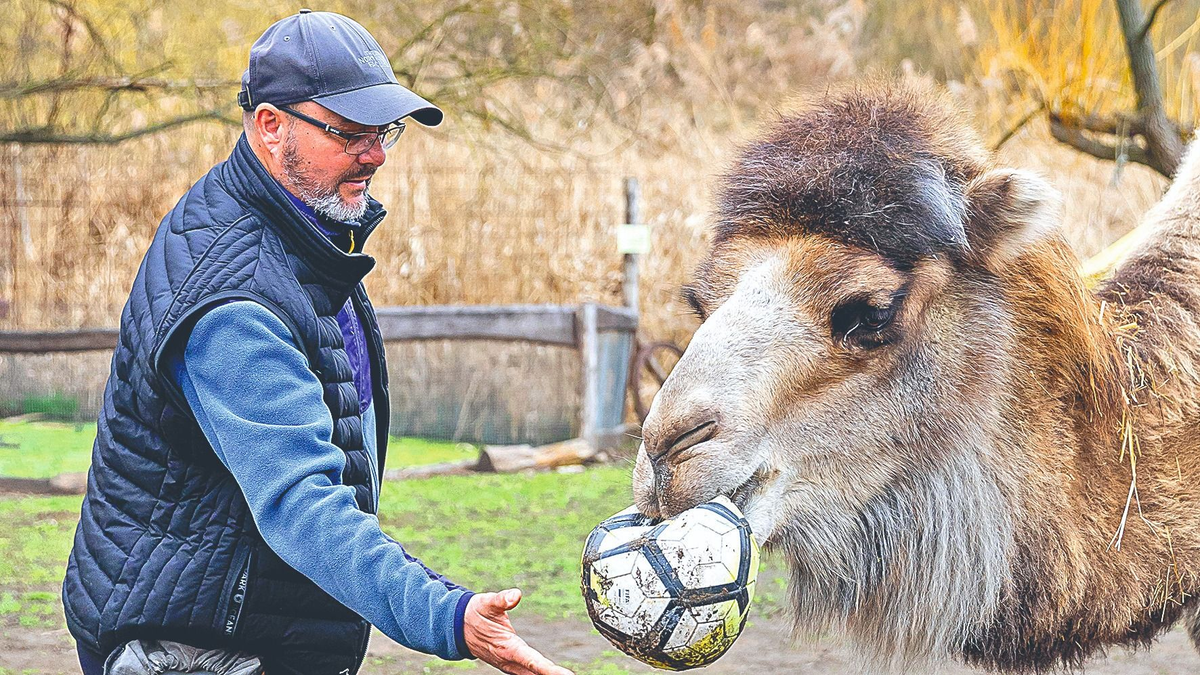 A Hunyadi állatait is képzi Halász Árpád