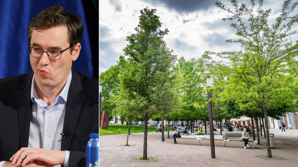 Fásítás az V. kerületben: lebőgtek Karácsonyék