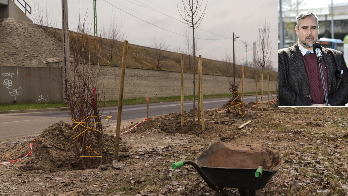 Facsemeték a gázcsövek fölött-újabb óbudai blama