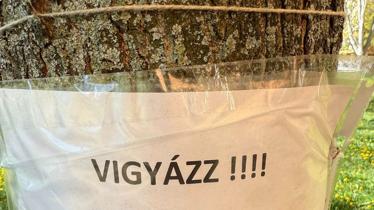 „Felháborító” – gyógyszeres rém garázdálkodik Óbudán