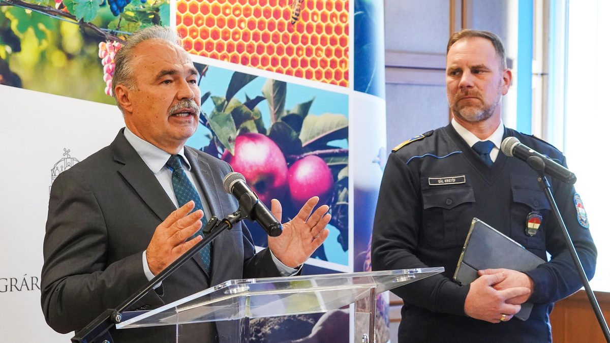 Nagy István: Újabb megbetegedés továbbra sincs, és zajlik a mentesítés