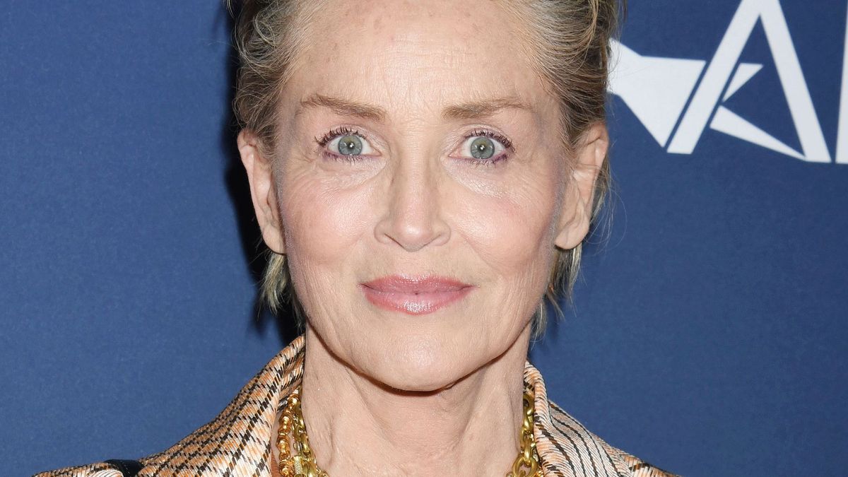 2024 AFI Fest - "Zurwaski V Texas" Premiere, Sharon Stone