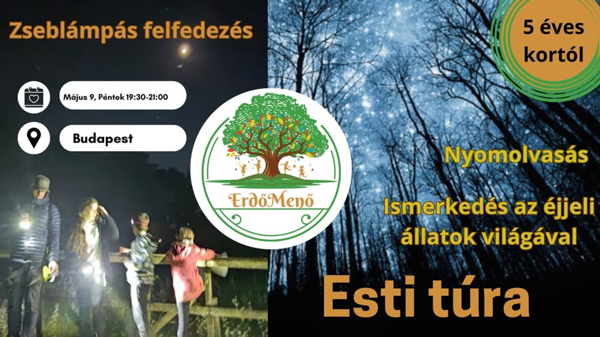 Bátorságpróba – éjszakai állatok nyomában
