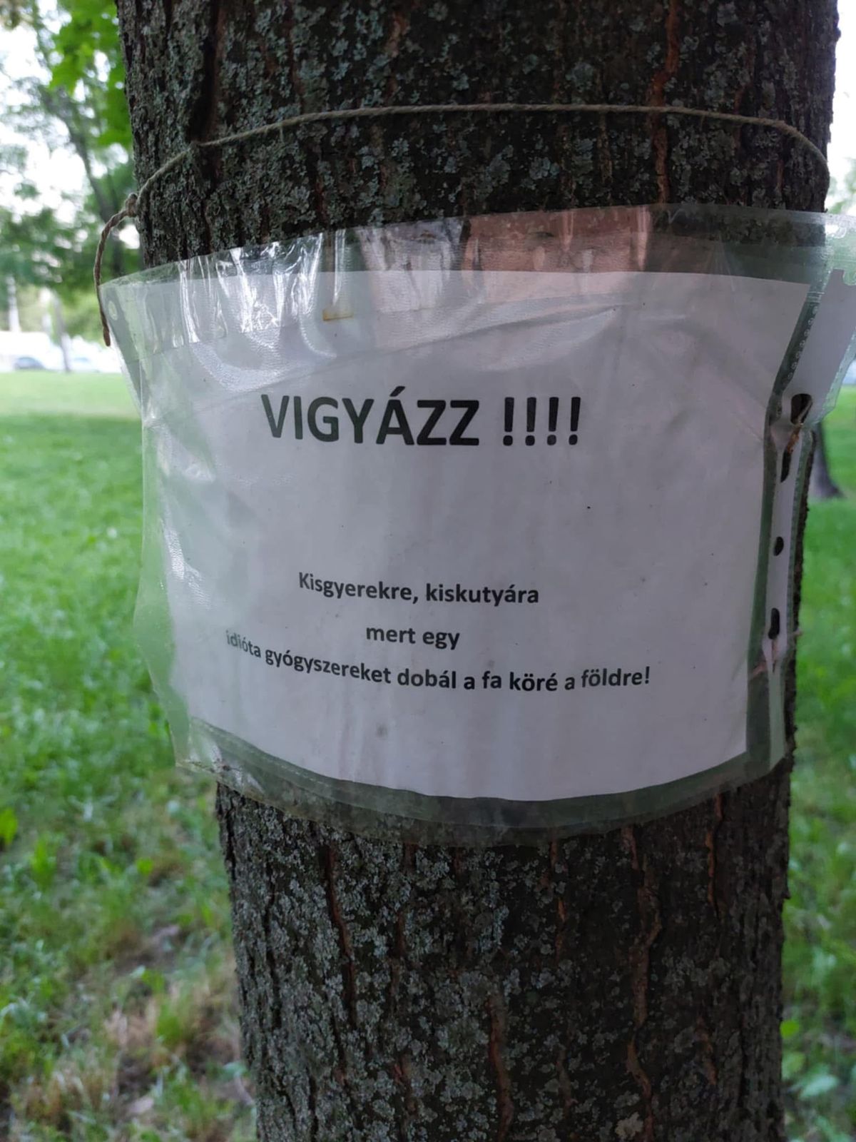 gyógyszer