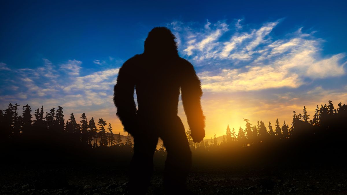 Bigfoot,Really,Exists.,Bigfoot,Silhouette,In,The,Woods.