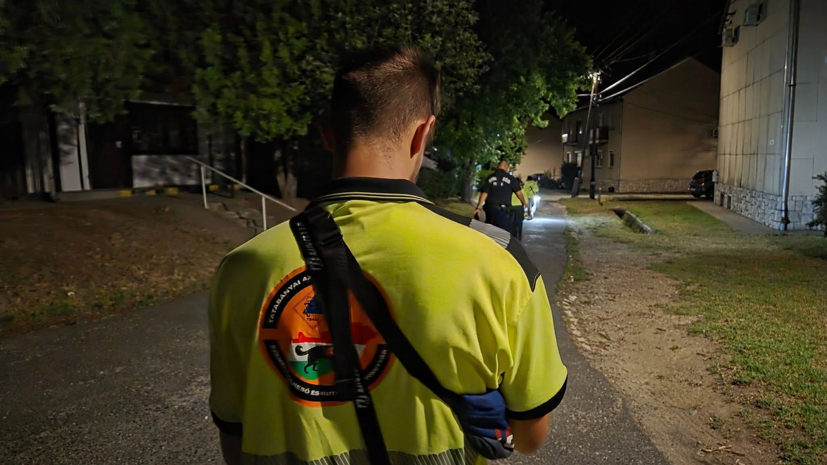 Csoda: épségben előkerült a Nyergesújfalun eltűnt nyugdíjas - így találták meg Ilonka nénit