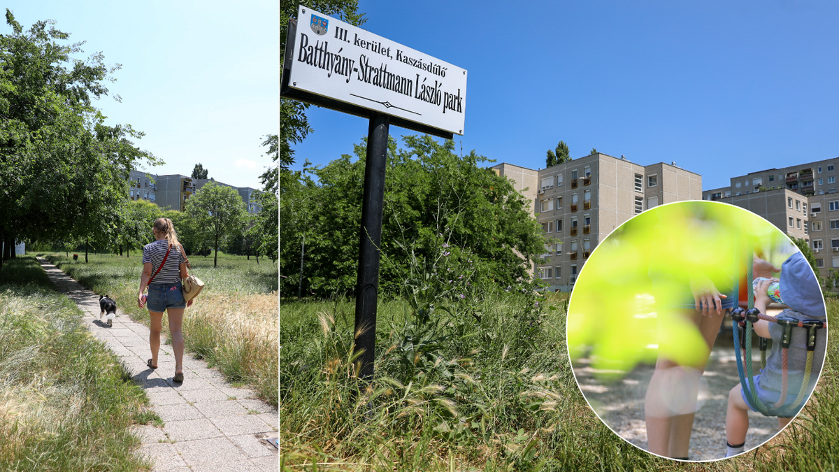 A népharag hatására kaszálni kezdtek Óbudán