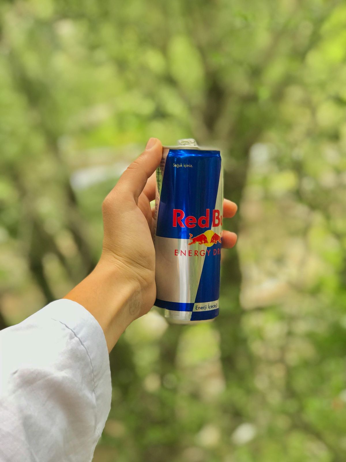 energiaital