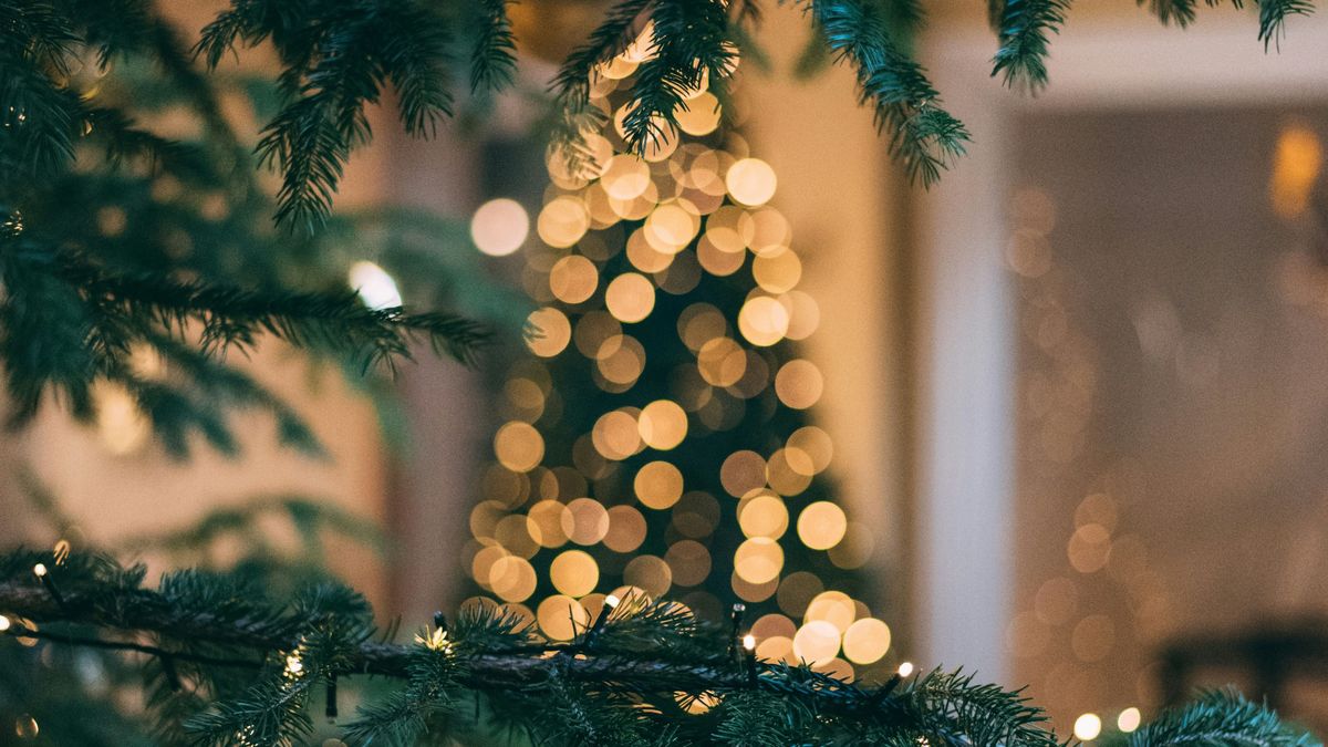Rengetegen kritizálják az influenszert, akinek már szeptember óta díszíti otthonát a karácsonyfa. 