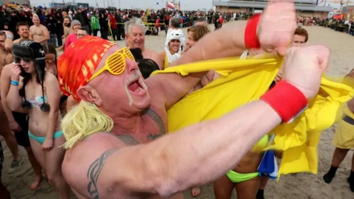 Hulk Hogan 