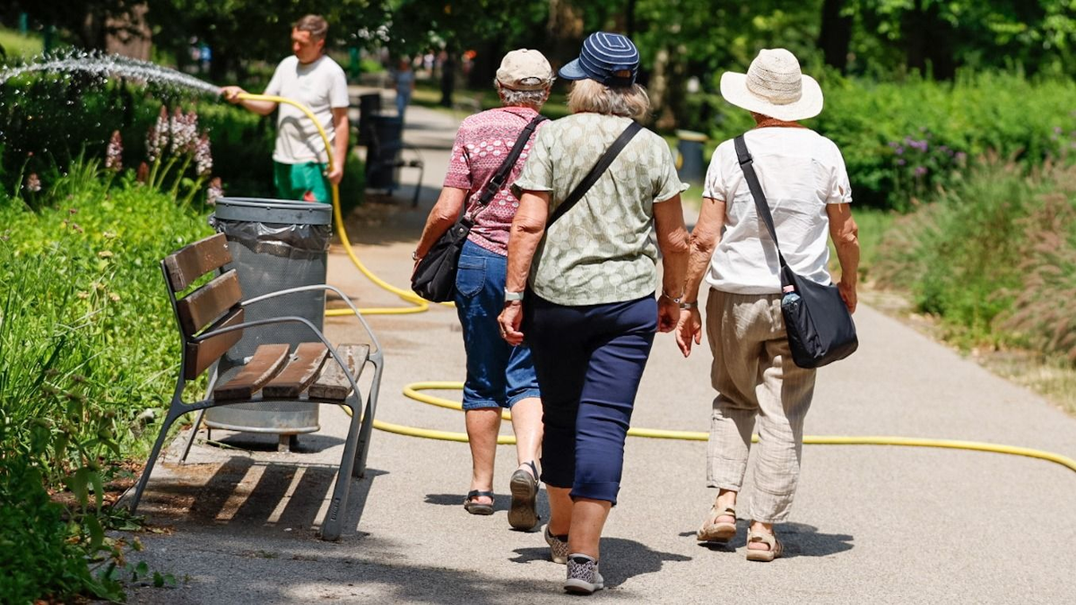 Hőségriasztás: szakember árulja el, hogyan éld túl a mostani hőhullámot