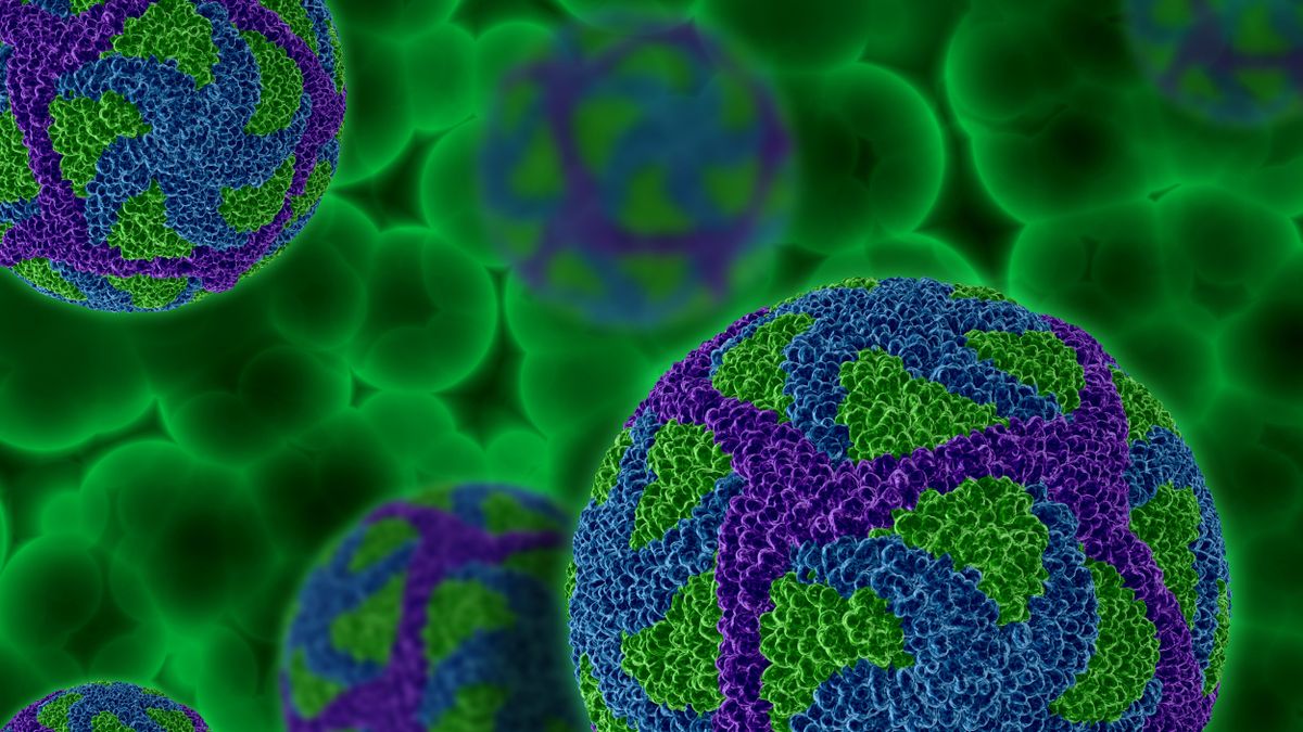 Egy hét alatt duplájára nőttek az Ebola gyanús esetek.