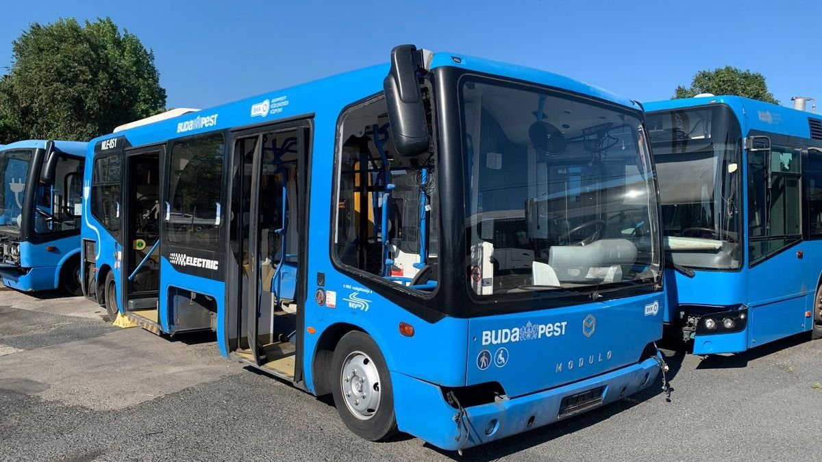 licit, árverés, elektromos minibusz