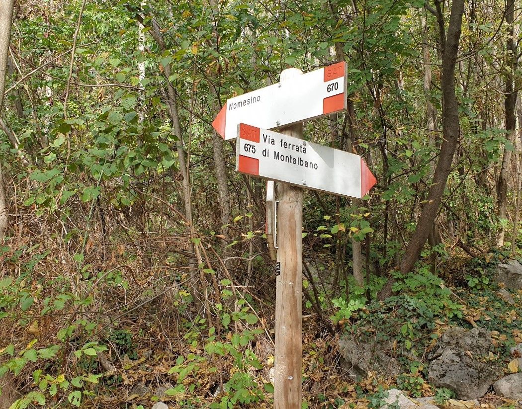magyar pár