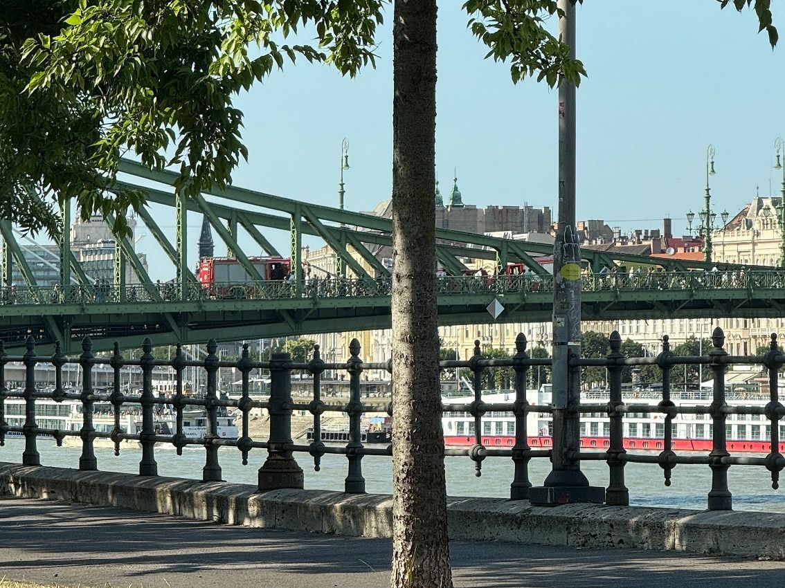 Mentők és tűzoltók is érkeztek a Szabadság hídhoz.