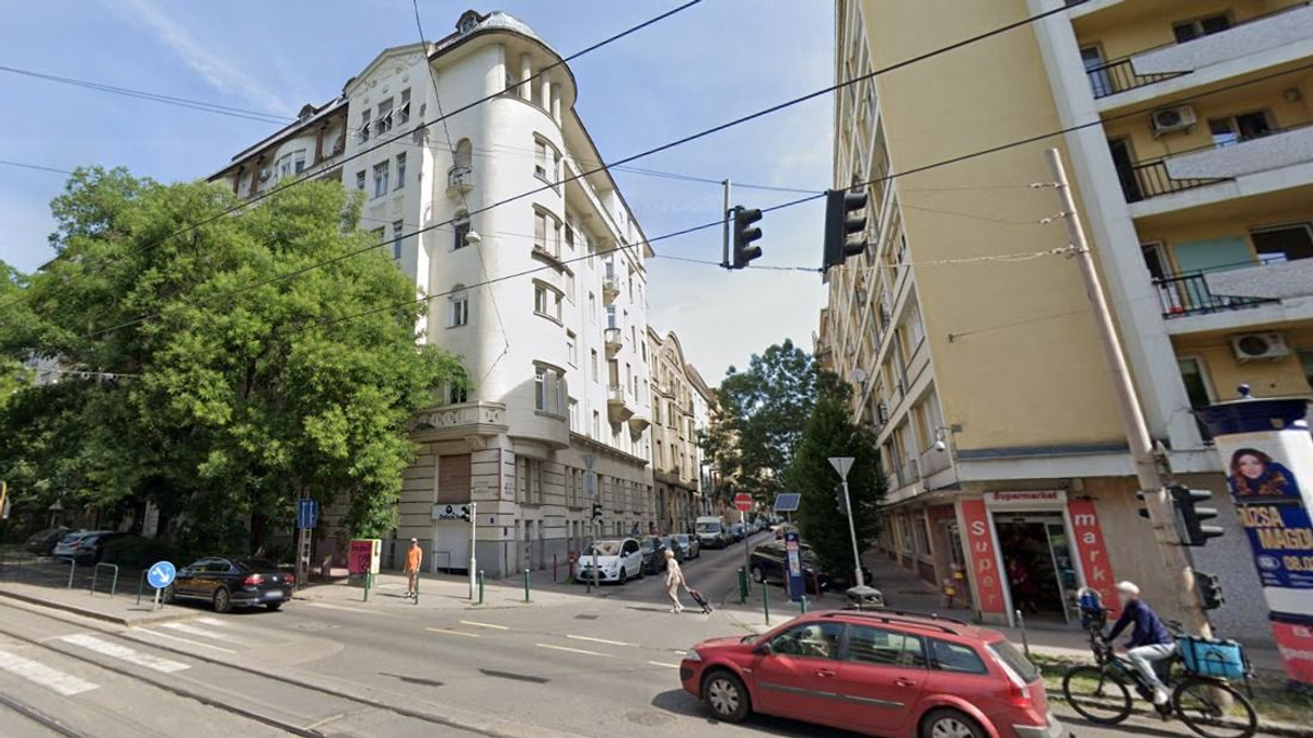 „Nekünk támadt, a falhoz szorított” – Horror a XI. kerületben: terhes nőt támadott meg egy német juhász