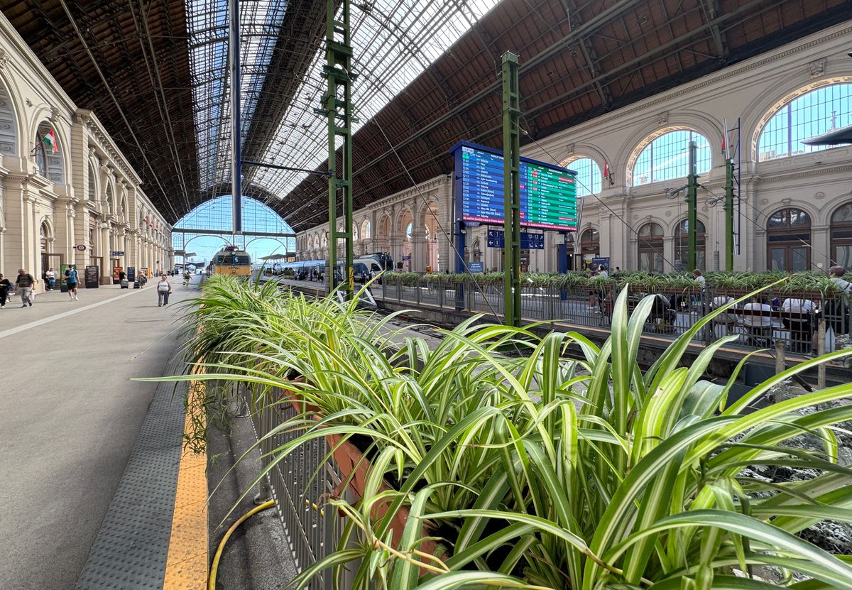 Keleti