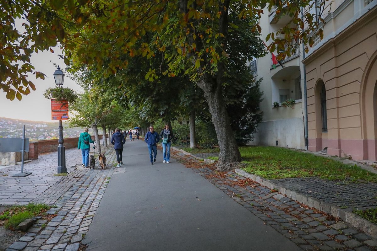 Mutatjuk mit ír elő az új KRESZ a gyalogosoknak.