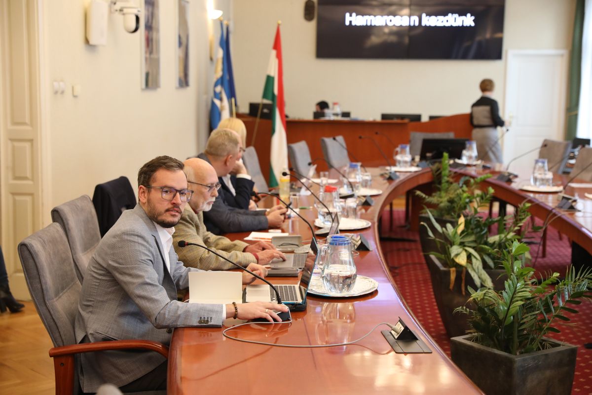 Erzsébetváros kiválása volt a téma a testületi ülésen