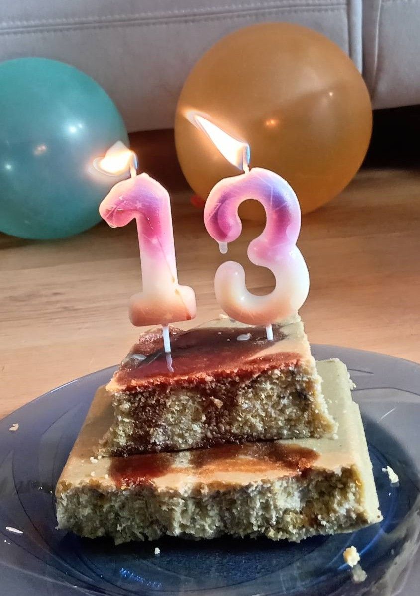 Letti németjuhász születésnap