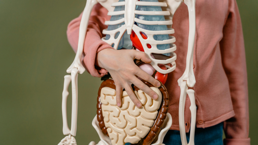 Kvíz kérdést ábrázoló kép.