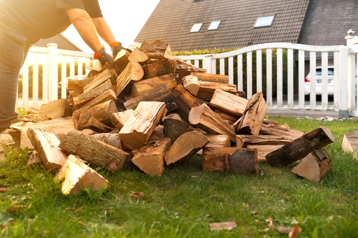 In,The,Garden,Lies,A,Pile,Of,Beech,Logs,That