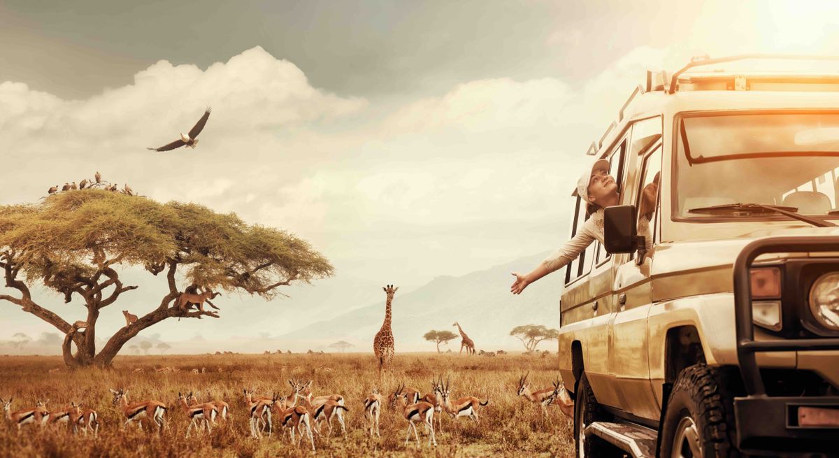 Happy,Woman,Traveller,On,Safari,In,Africa,,Travels,By,Car