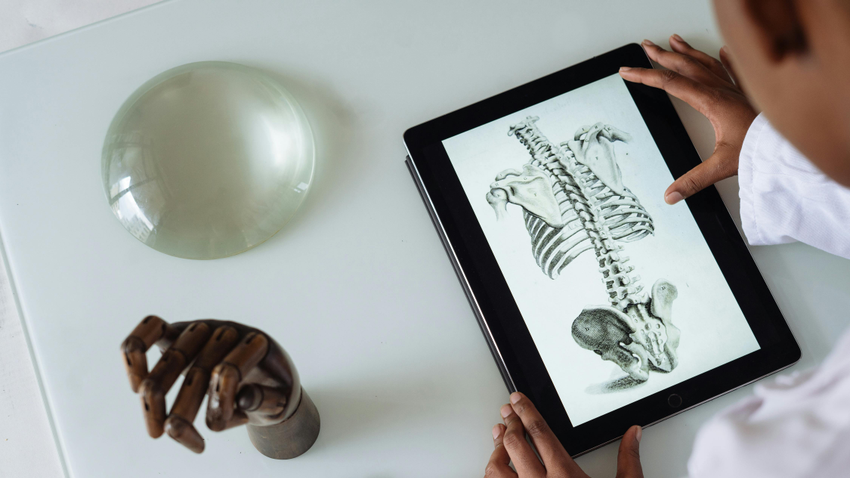 Kvíz kérdést ábrázoló kép.