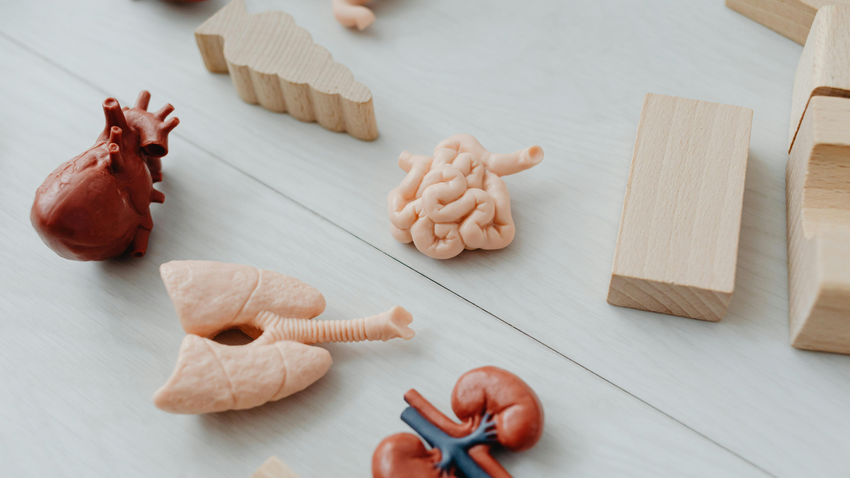 Kvíz kérdést ábrázoló kép.