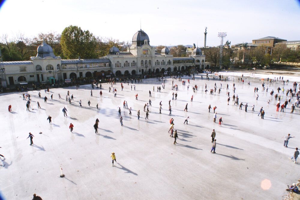 Budapest Főváros Kormányhivatala azonnali intézkedéseket rendelt el.