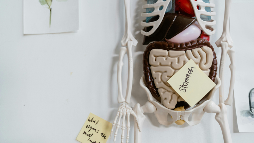 Kvíz kérdést ábrázoló kép.