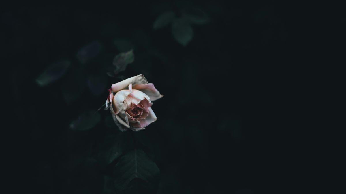 A fiatal fiú meghalt, miután csapattársa nyakon találta a labdával