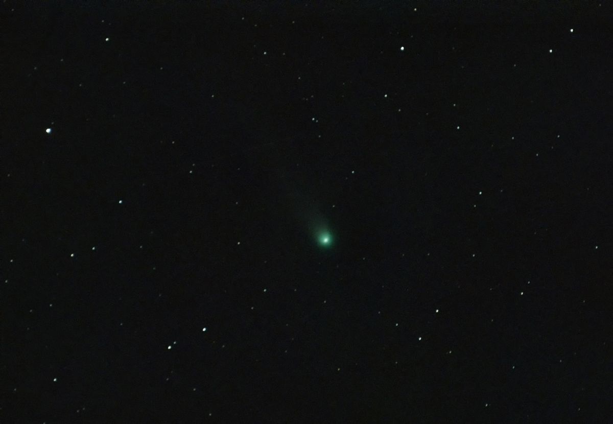 Comet C/2025 A6 (Lemmon)