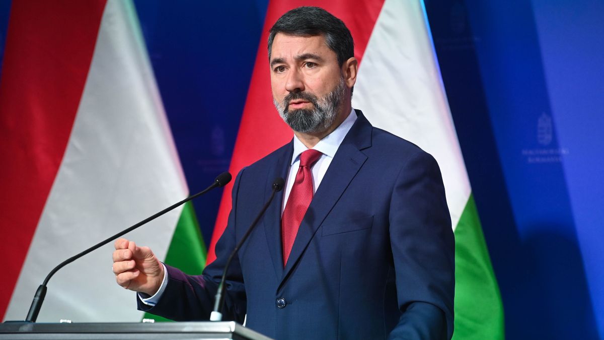 HIDVÉGHI Balázs
