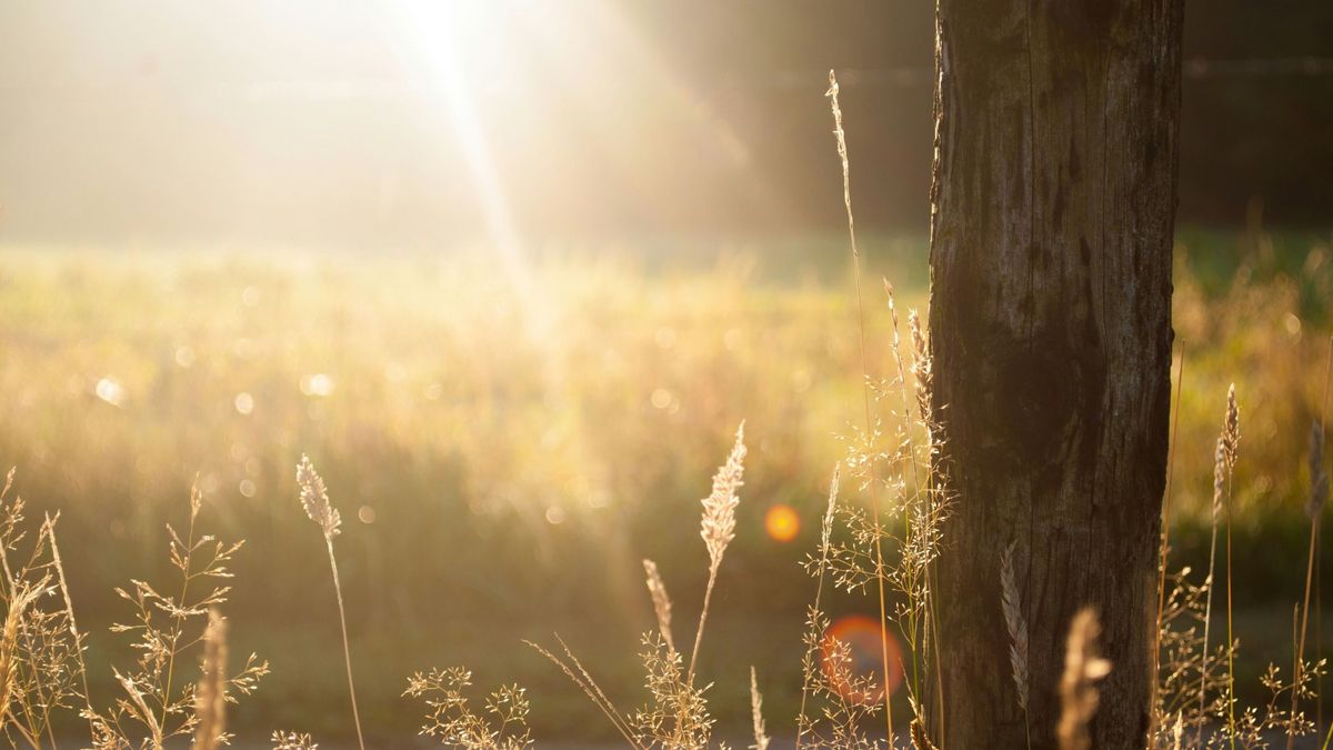 Folytatódik a tavaszias időjárás.