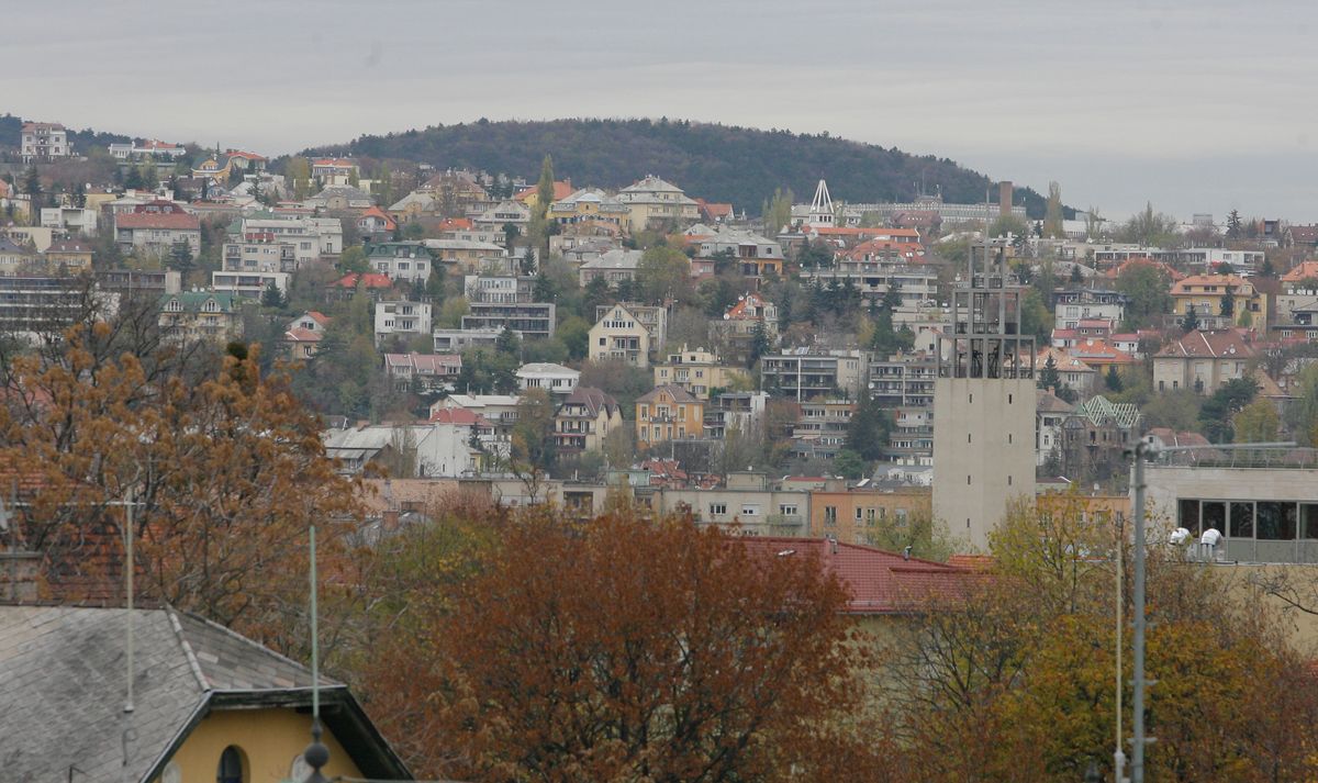 vadállat