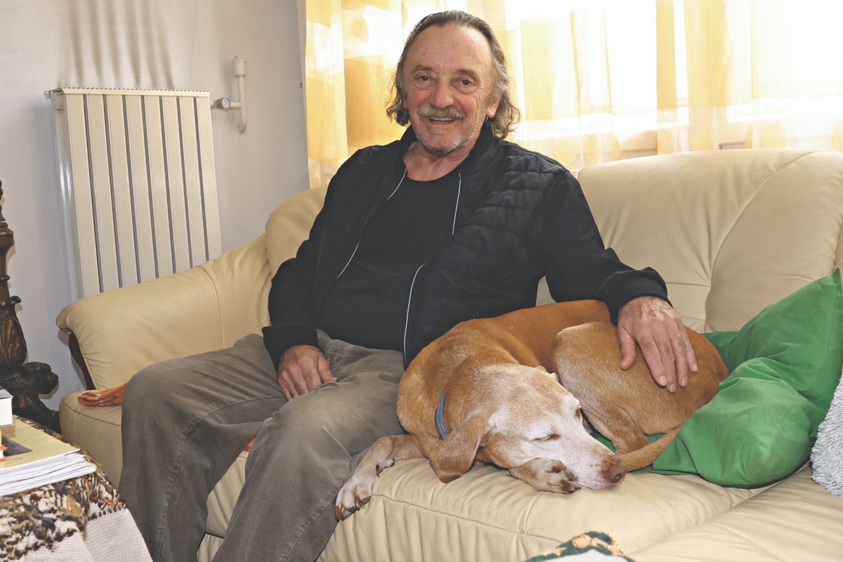Fülöp egy tüneményes és barátságos vizsla, aki sokat alszik Szacsvay László mellett 