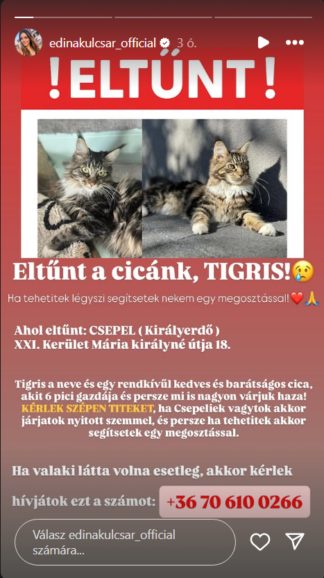Követői segítségét kéri Kulcsár Edina.