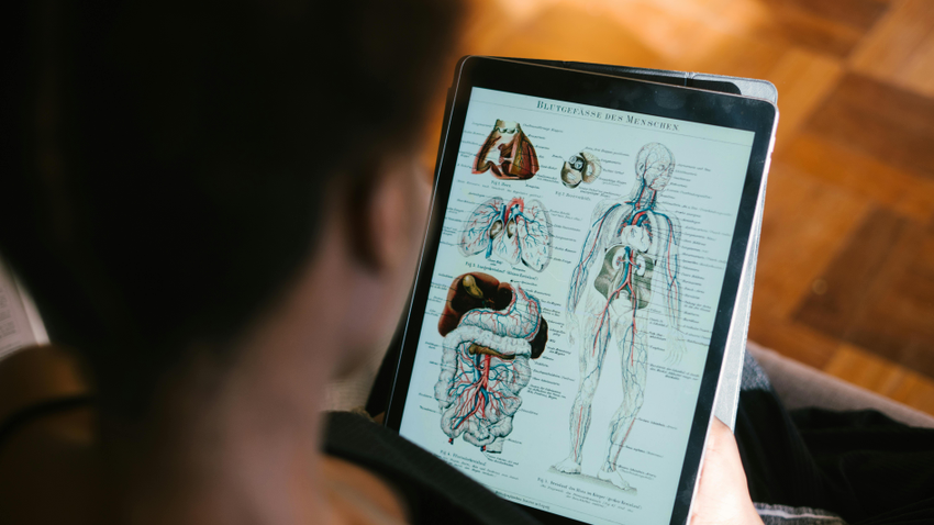 Kvíz kérdést ábrázoló kép.