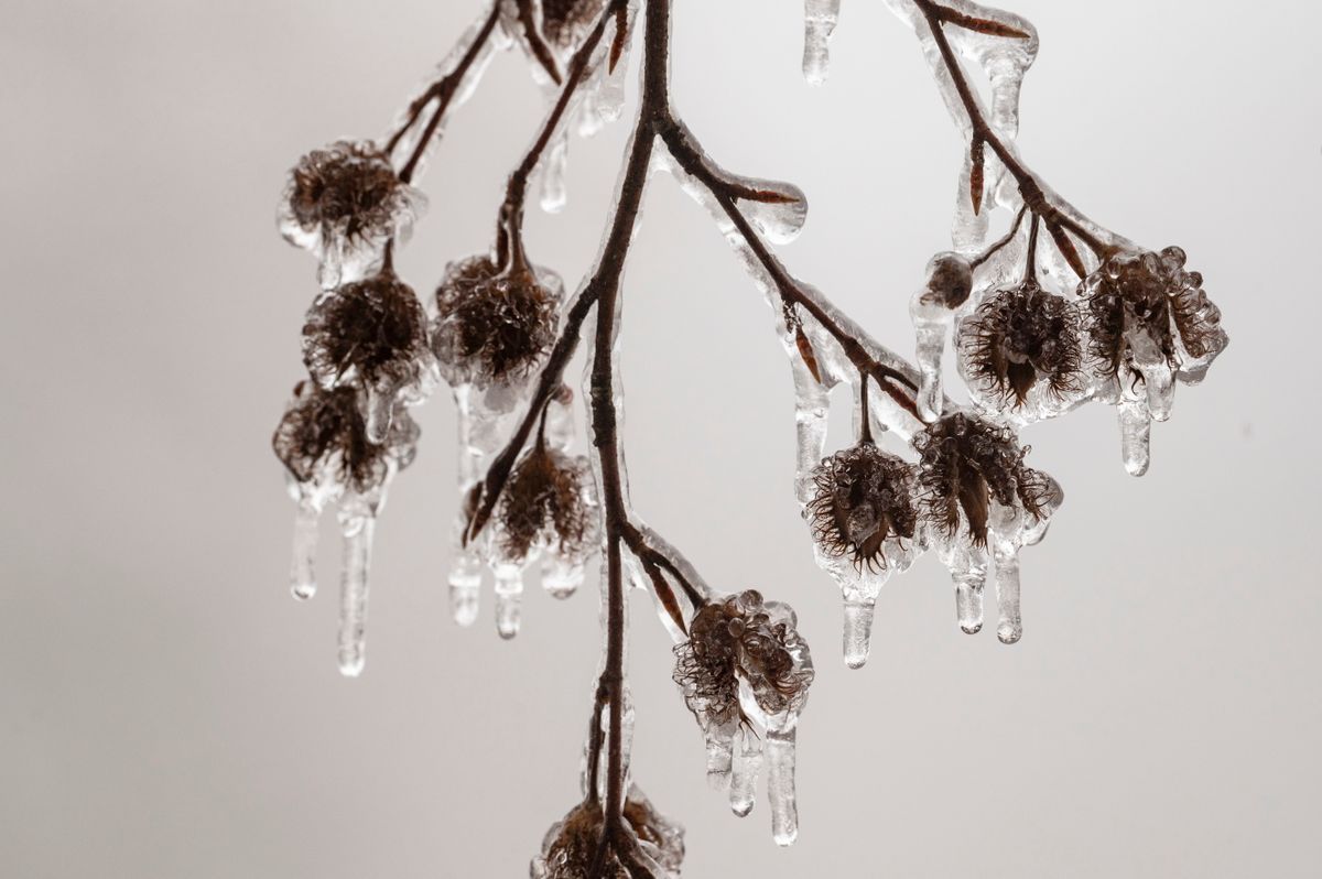 Csípős időjárással kezdődik a hét