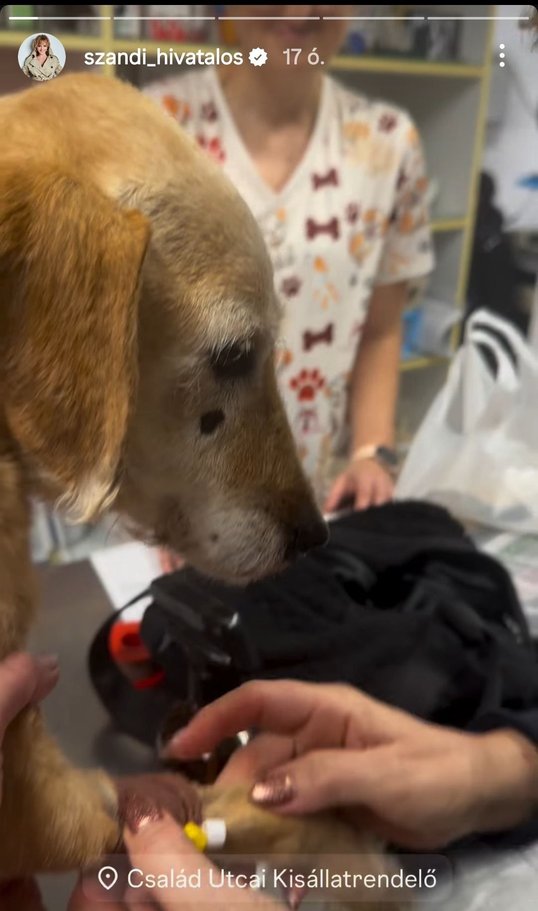 Szandi kutyáját éjszaka látták el