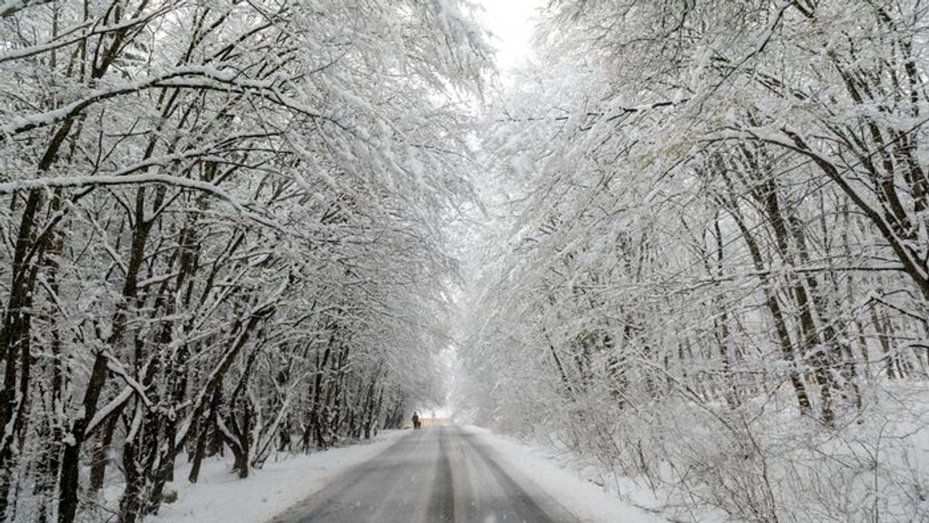 Ezt látnod kell: Meseszép hótakaróval köszöntött be a tél Mátrán