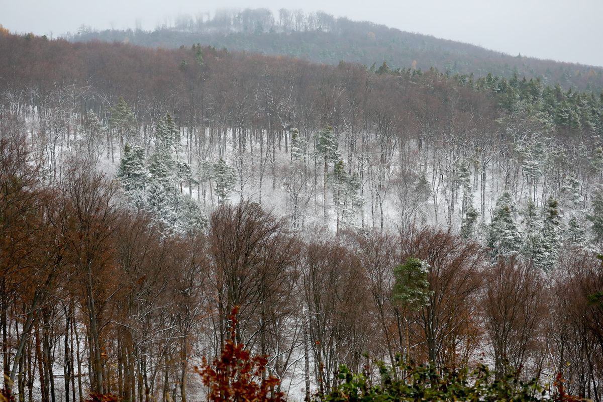 Ilyen időjárásra számíthatunk a következő napokban.