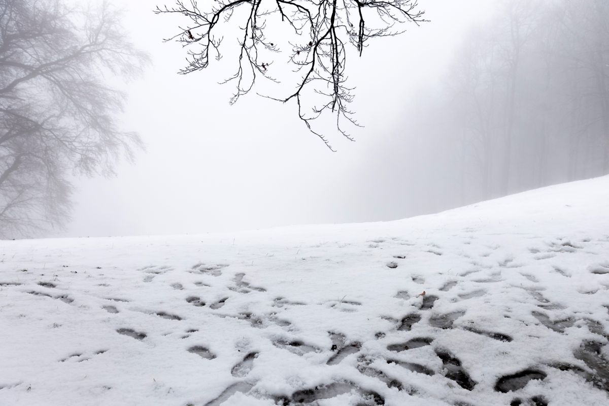 alt=Álomszép hótakaróval köszönt be a tél november közepére, ami Mártán is hagyott látványosságot az arra járóknak 