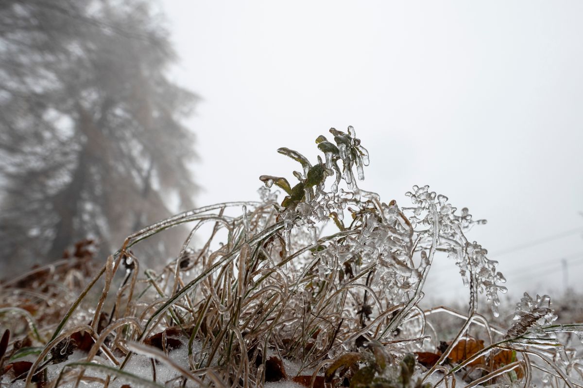 2025.11.21. hó, havazás november