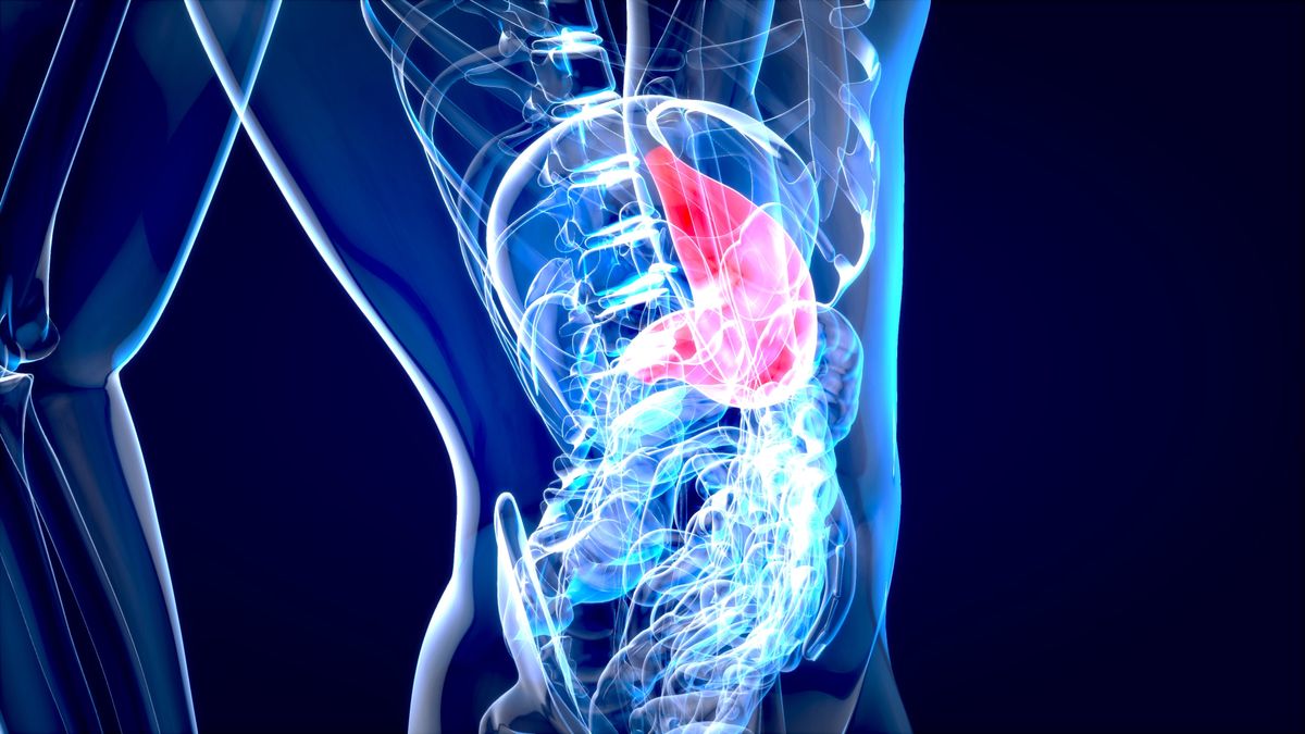 Tudósok szerint évente milliókat érint a krónikus vesebetegség