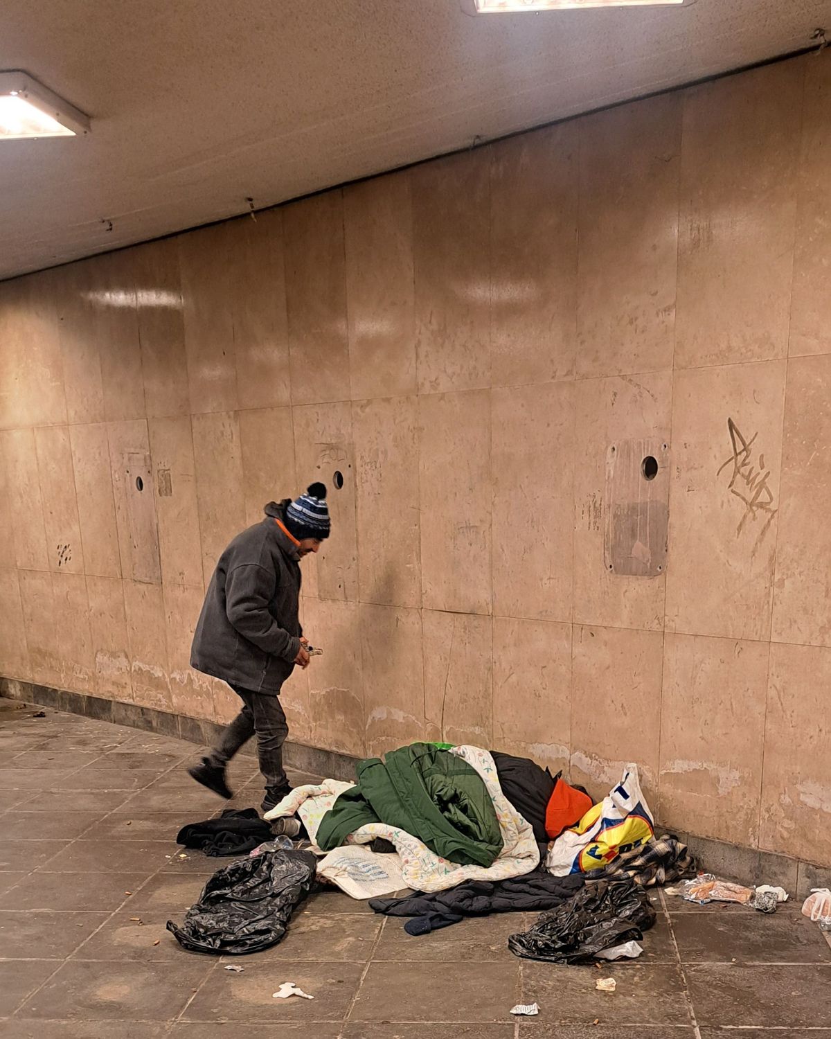 erőszakos kéregető