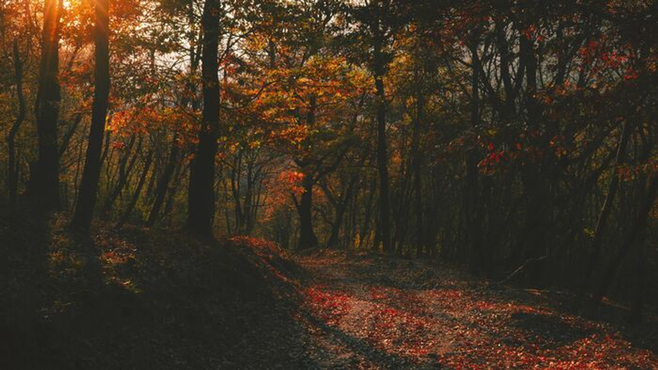 Végre lesz minek örülni: mutatjuk, milyen idővel búcsúzik a november